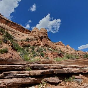 Meet your Posher, Kain